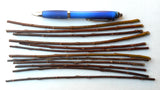 Willow and Poplar Cuttings - Start your own trees -12 Varieties