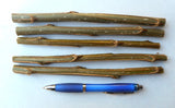 Willow and Poplar Cuttings - Start your own trees -12 Varieties