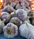 Garlic - 11 varieties - By the Bulb or by the Clove - Certified Disease Free