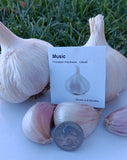 Garlic - 11 varieties - By the Bulb or by the Clove - Certified Disease Free