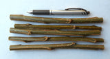 Willow and Poplar Cuttings - Start your own trees -12 Varieties