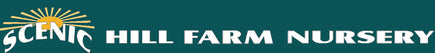 Scenic Hill Farm Nursery logo