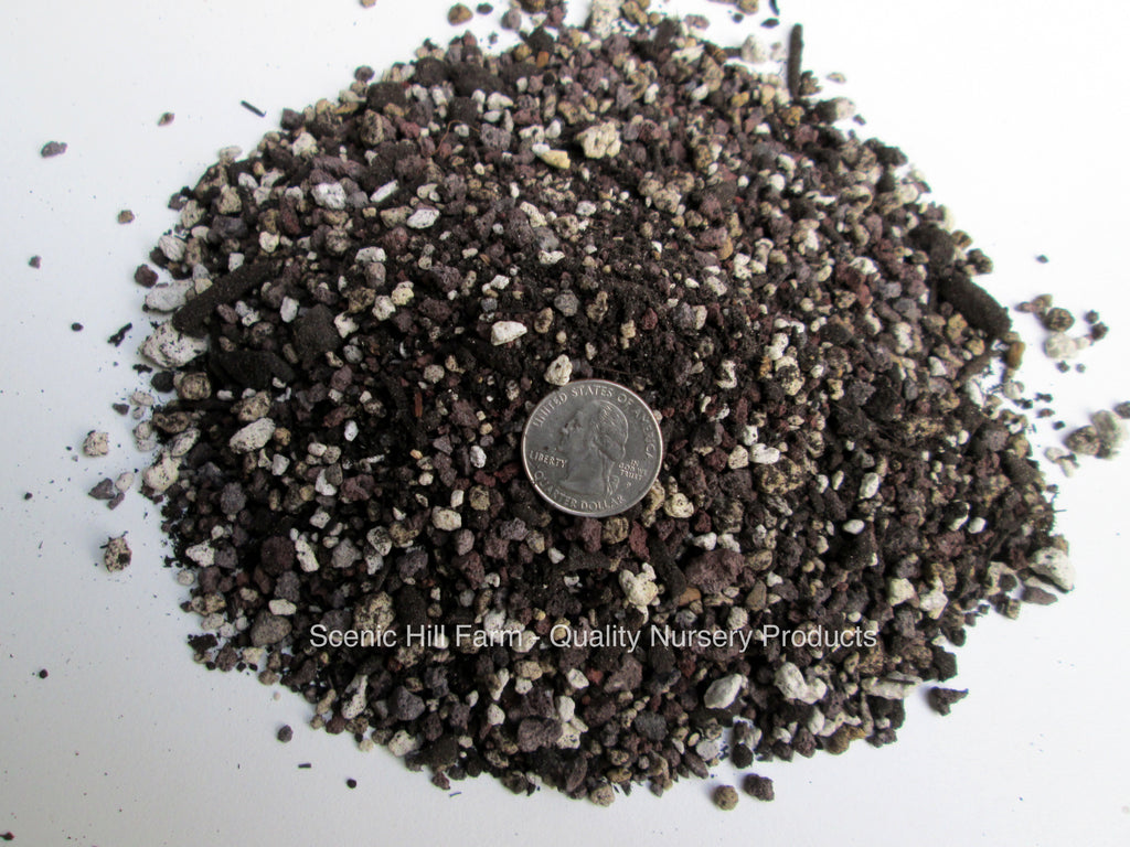 Bonsai Soil Mix