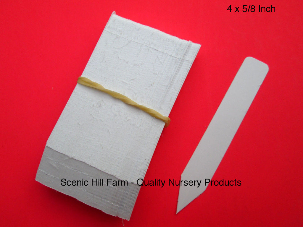 non plastic plant labels White Plastic Plant Stakes 4" X 5/8" Markers Plant Labels Nursery Tags – Scenic Hill Farm Nursery