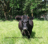 Cow Manure- Aged and Dried