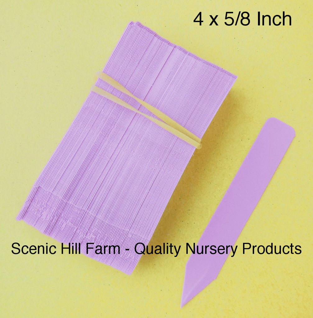 4 inch plastic plant labels Lavender Plastic Plant Stakes Labels Nursery Tags Made in USA