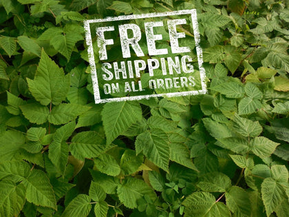 Featured Products - Scenic Hill Farm Nursery