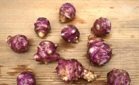 Jerusalem Artichoke Tubers for Planting - Aurora Rose - Heliantus Tuberosus - Freshly Dug
