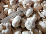 California Early Garlic- Early Season Softneck - For eating, seed or braiding