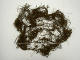Double Gold Raspberry Rootstock - Free Shipping - Excellent Flavor, Very Sweet