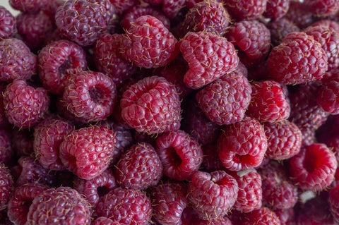 Willamette Raspberry - Bare Root Canes- rich sweet tart raspberry flavor -heirloom variety