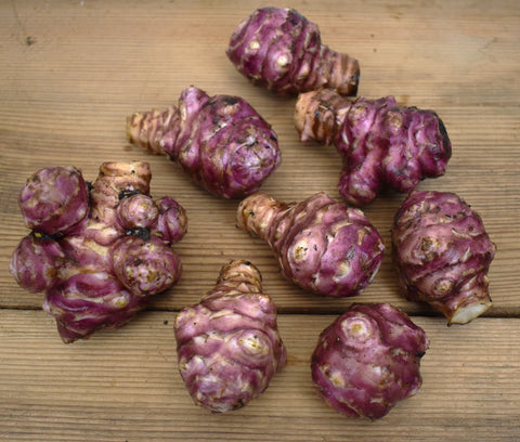 Large Jerusalem Artichoke Tubers - Aurora Rose - Sunchokes - Helianthus tuberosus- Freshly dug