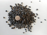 3/8" - 1/4" Black Lava for Bonsai Soil, Succulents, Cactus & Soil Mixes