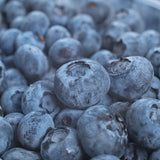 Blueberry plants - 19+ Varieties- State Lab tested to be free of diseases & virus