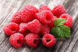 Potted Caroline Raspberry Plants - Large and Sweet Berries