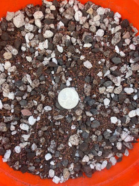 cactus soil alternative Desert Cactus Gritty Potting Soil Mix for Lophophora, Ariocarpus, Tric – Scenic Hill Farm Nursery