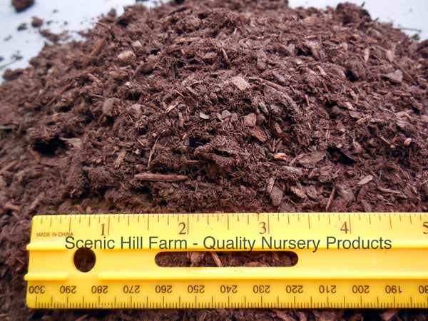 pine bark fines for potting mix Fir Bark- Aged Fine Fir for Bonsai/Succulent/Cactus and Seed Starting –  Scenic Hill Farm Nursery