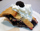 Marionberry Pie and Marionberry - Scenic Hill Farm Nursery