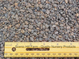 River Rock Stone Pebbles, For Bonsai, Cactus, & Succulents Soil Mixes