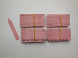 Pink Plastic Plant Stakes Labels Nursery Tags Made in USA - 4" X 5/8"
