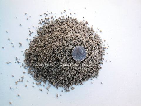 Propagation Grade Pumice - 1/8" - 1/128" - Seed Starting - Cuttings - Potting Soil
