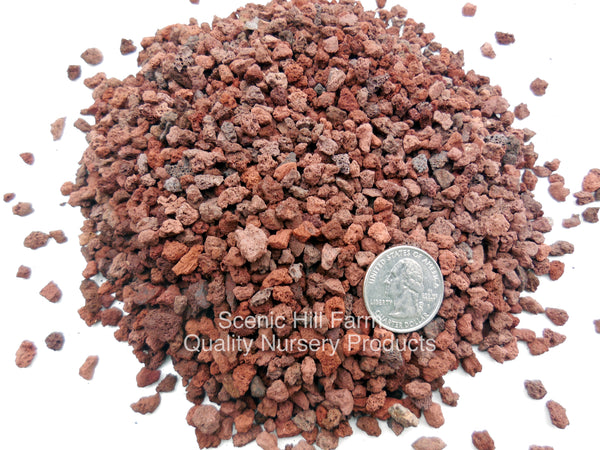 Red_Lava_Rock_w_600x600.JPG?v=