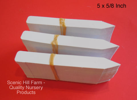 5 inch plastic plant labels White Plastic Plant Stakes 5" X 5/8" Markers Plant Labels Nursery Tags – Scenic Hill Farm Nursery