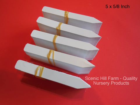 5 inch plastic plant labels White Plastic Plant Stakes 5" X 5/8" Markers Plant Labels Nursery Tags – Scenic Hill Farm Nursery