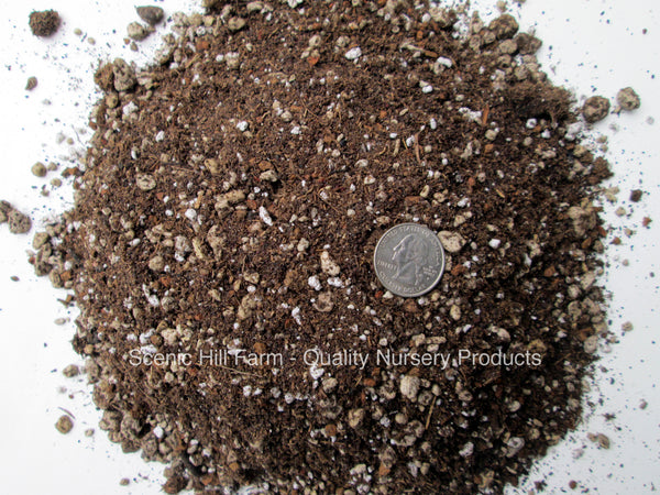 Spineless Succulents & Cactus Soil Mix - Custom Blend - Proper Drainag   Scenic Hill Farm Nursery